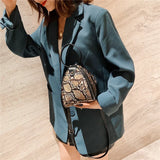 Leopard Triangle Bag Style Handbag Women Shoulder Mini Bag
