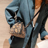 Leopard Print Women Shoulder Bag PU Leather Triangle Mini B