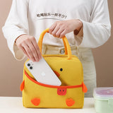 Insulated Lunch Bag Thermal Lunch Box Bento Bag Food Storage Containers Cooler