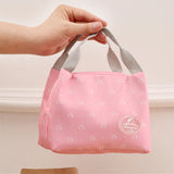 Insulated Cold Stripe Lunch Bag Portable Thermal Carry Case