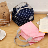 Insulated Cold Stripe Lunch Bag Portable Thermal Carry Case