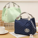 Insulated Cold Stripe Lunch Bag Portable Thermal Carry Case