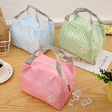 Insulated Cold Stripe Lunch Bag Portable Thermal Carry Case
