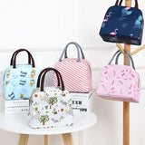 Portable Lunch Bag with Shoulder Strap Handle for Work Student