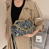 Snake Pattern Shoulder Bag Retro Crossbody Chain Handbag Satchel