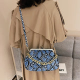 Snake Pattern Shoulder Bag Retro Crossbody Chain Handbag Satchel