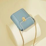 Small Chain Bucket Bag Leather Shoulder CrossBody Bag