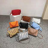 Thick Chain Clutch Bag Woman Shoulder Bag