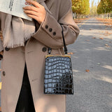 Stone Pattern Crossbody Bag Small Handbag