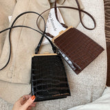 Stone Pattern Crossbody Bag Small Handbag