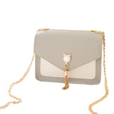 Tassel Chain Shoulder Small Square Bag Messenger Crossbody Bag