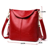 Tassel Crossbody Bags for Women Shoulder Bags Messenger Bags