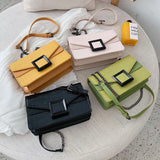 Spring Crossbody Chain Bag for Women, Phone Pocket Shoulder Bag