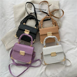 Maomao Small Square Bag Welt Lock Portable Square Bag