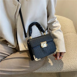 Maomao Small Square Bag Welt Lock Portable Square Bag