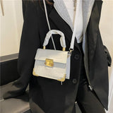 Maomao Small Square Bag Welt Lock Portable Square Bag