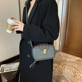 Matte Stone Pattern Crossbody Bag for Women - Small Box Flap Messenger Bag