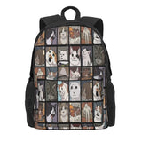 Meme Cats 20 2 Backpacks Men's Backpacks Bags For Women Plain