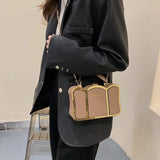 Small Square Messenger Bag Frame Shoulder Crossbody Purse