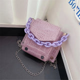 Mini Crossbody Bag with Chain Rivet Purse