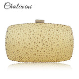 Crystal Lady Clutch Evening Bag Multicolor Wallet Nigerian Wedding Matching Bag