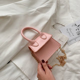 Women Handbag Famous Ladies Chain Bag Crossbody Messenger Mini Bag