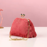 Vintage Women's Lay Bag Chain Crossbody Bag