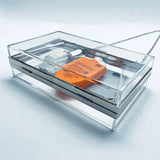 Acrylic Shoulder Bag Small Square Casual Clutch Silver Frame