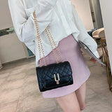 Small Square Crossbody Bag Chain Clutch Purse Female Shoulder Messenger