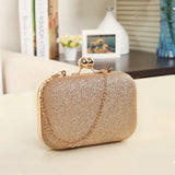 Glittered Clutch Wallet Evening Shoulder Bag