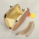 Glittered Clutch Wallet Evening Shoulder Bag