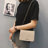 Small Square Crossbody Bag for Women Solid Lady's Bag