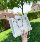 Chain Messenger Bag Ins Frosted Transparent Floret Jelly Bag
