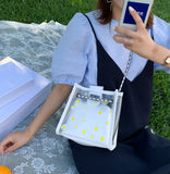 Chain Messenger Bag Ins Frosted Transparent Floret Jelly Bag