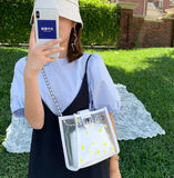 Chain Messenger Bag Ins Frosted Transparent Floret Jelly Bag