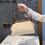 Female Small Cloud Bag Lamb Wool Shoulder Bags for Women Clip Clutch Fur Crossbo