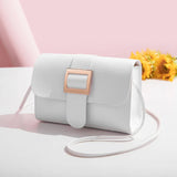 Small Square Bag Ladies Satchel Bag