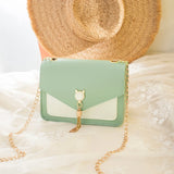 Tassel Chain Shoulder Bag Small Cat Patchwork Crossbody Bag