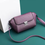 Soft Leather Crossbody Bag for Women Girls Small Handbag Classic Messenger Bag