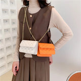 Embroidered Flap Bag Beaded Shoulder Mini Handbag for Women