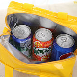 PVC Waterproof Lunch Bag Canvas Stripe Insulated Thermal Food Cooler Tote