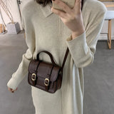 Winter Vintage Flap Lock Classic Shoulder Bag