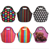 Waterproof Lunch Bag for Women kids Men Cooler Lunch Box Bag Tote