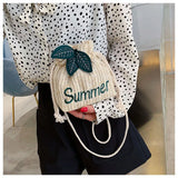Small Straw Crossbody Beach Bag for Women