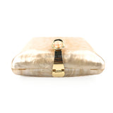 Acrylic Clutch Evening Bag Women's Clutch Bag