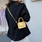 Stone Pattern Mini Shoulder Handbags Lady Tote Messenger Bags