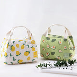 Portable Insulated Lunch Bag for Women