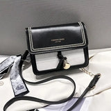 Small Square Bag Women's Bag Autumn Winter Shoulder Bag Handbag