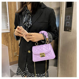 Versatile Ins Ladies Bag Chain Crossbody Handbag Small Square
