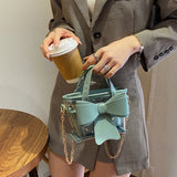 Mini Transparent Chain Messenger Bucket Bag